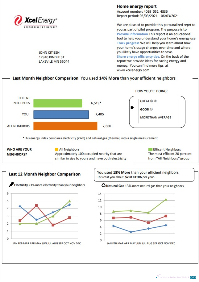 Realistische Herunterladen USA Minnesota Xcel Energy Nebenkostenabrechnung Vorlage in Word und PDF Format (.doc und .PDF) PDF Vorlage