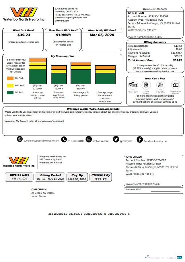 Premium Herunterladen USA Nevada Waterloo Nord Hydro Nebenkostenabrechnung Vorlage in Word und PDF Format (Version 2) PDF Vorlage