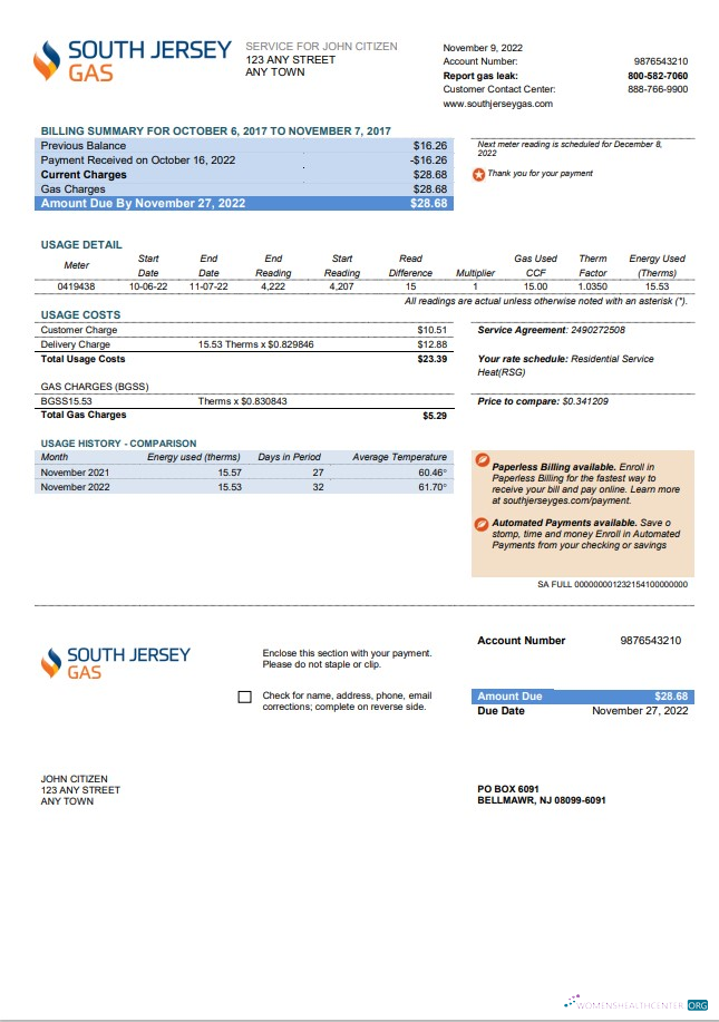 Premium Herunterladen USA Neu Jersey Süd Jersey Gas Nebenkostenabrechnung Vorlage in Word und PDF Format PDF Vorlage