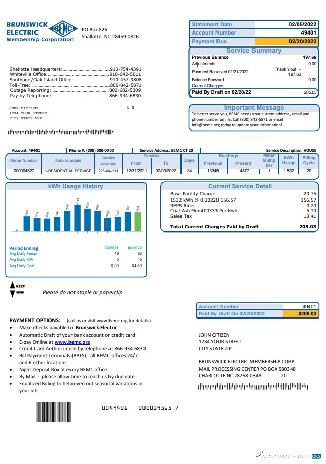Hochwertige Herunterladen USA Nord Carolina Brunswick Electric Nebenkostenabrechnung Vorlage in Word und PDF Format PDF Vorlage
