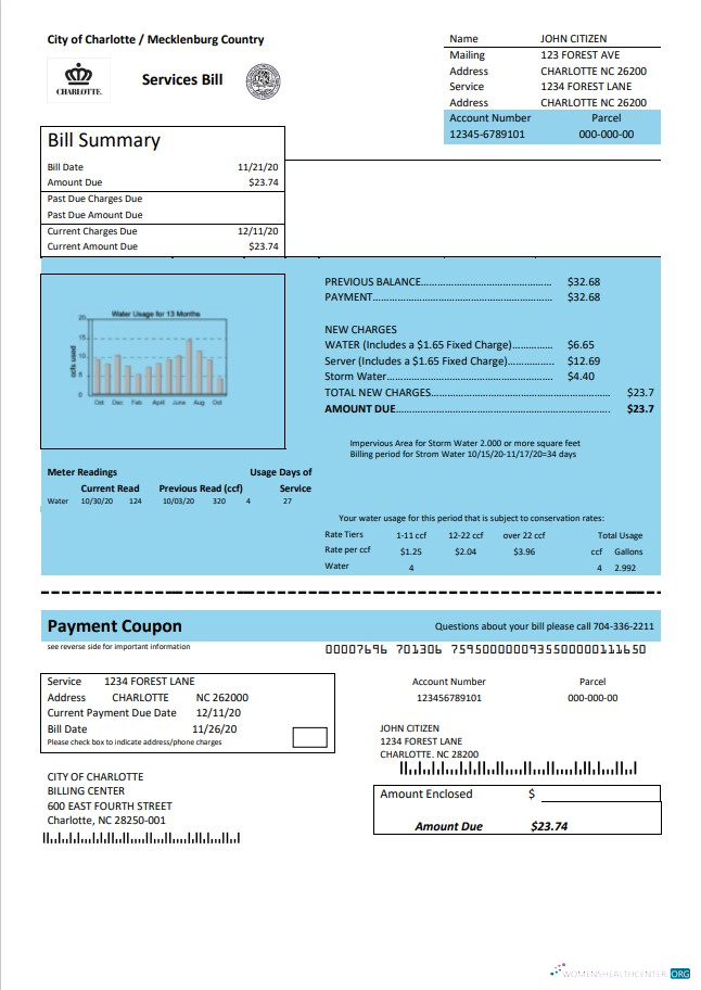Premium Herunterladen USA Nord Carolina Stadt von Charlotte Wasser Nebenkostenabrechnung Vorlage in Word und PDF Format PDF Vorlage