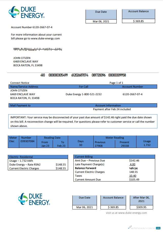 Premium Herunterladen USA Nord Carolina Duke Energy Nebenkostenabrechnung Vorlage in Word und PDF Format PDF Vorlage
