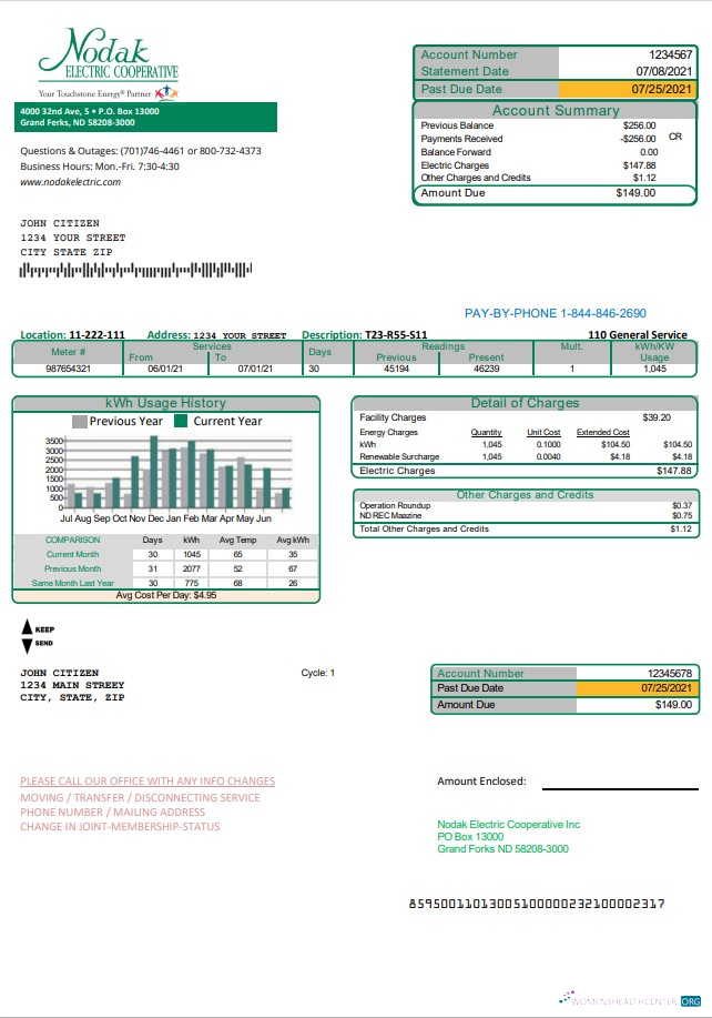 Professionelle Herunterladen USA Nord Dakota Nodak Electric Cooperative Nebenkostenabrechnung Vorlage in Word und PDF Format PDF Vorlage