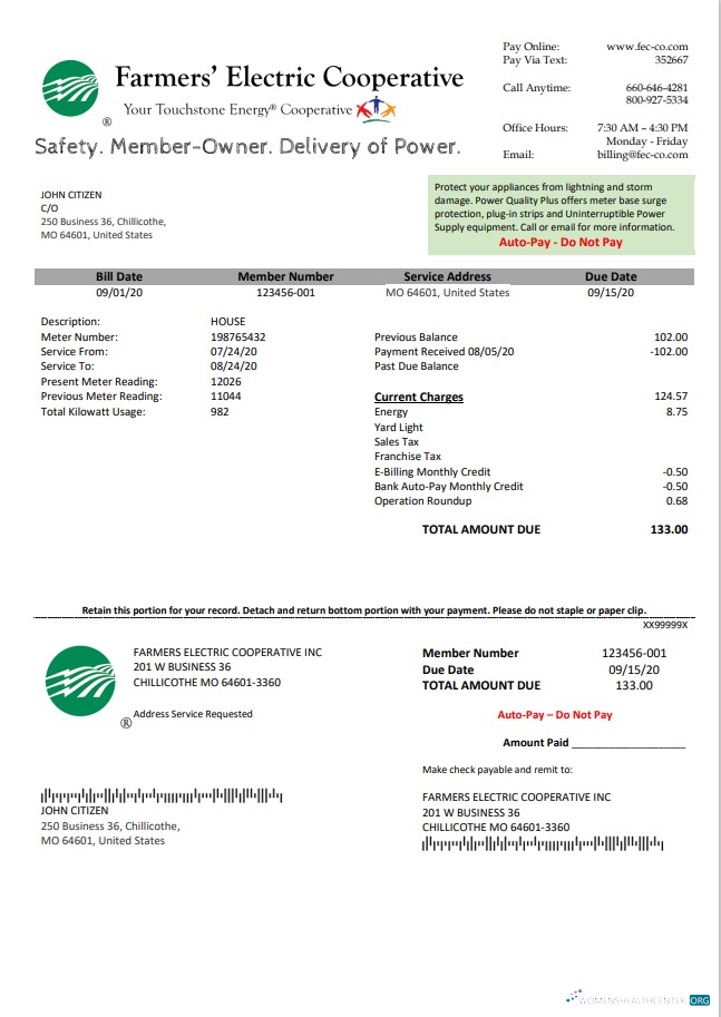 Realistische Herunterladen USA Ohio Farmer’s Electric Cooperative Nebenkostenabrechnung Vorlage in Word An PDF Format PDF Vorlage