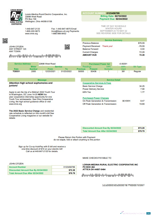 Premium Herunterladen USA Ohio Lorain Medina Rural Electric Nebenkostenabrechnung Vorlage in Word und PDF Format PDF Vorlage