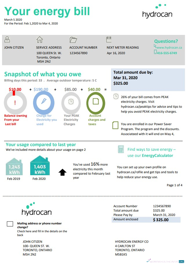 Editierbare Herunterladen USA Ontario Hydrocan Strom Nebenkostenabrechnung Vorlage in Word und PDF Format PDF Vorlage