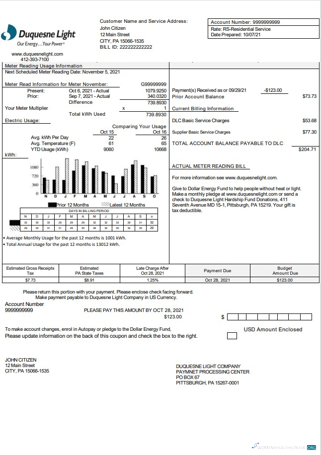 Premium Herunterladen USA Pennsylvania Duquesne Light Unternehmen Nebenkostenabrechnung Vorlage in Word und PDF Format PDF Vorlage