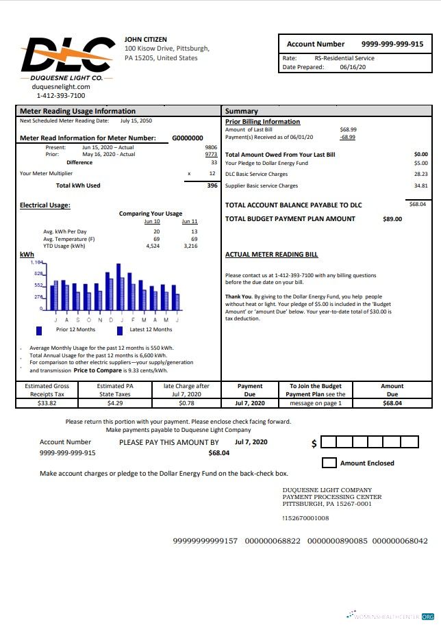 Editierbare Herunterladen USA Pennsylvania Duquesne Light Nebenkostenabrechnung Vorlage in Word und PDF Format PDF Vorlage
