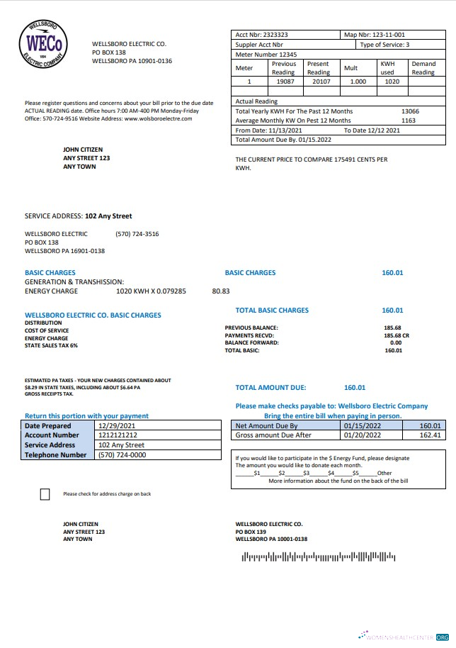 Professionelle Herunterladen USA Pennsylvania Wellsboro Electric Nebenkostenabrechnung Vorlage in Word und PDF Format PDF Vorlage