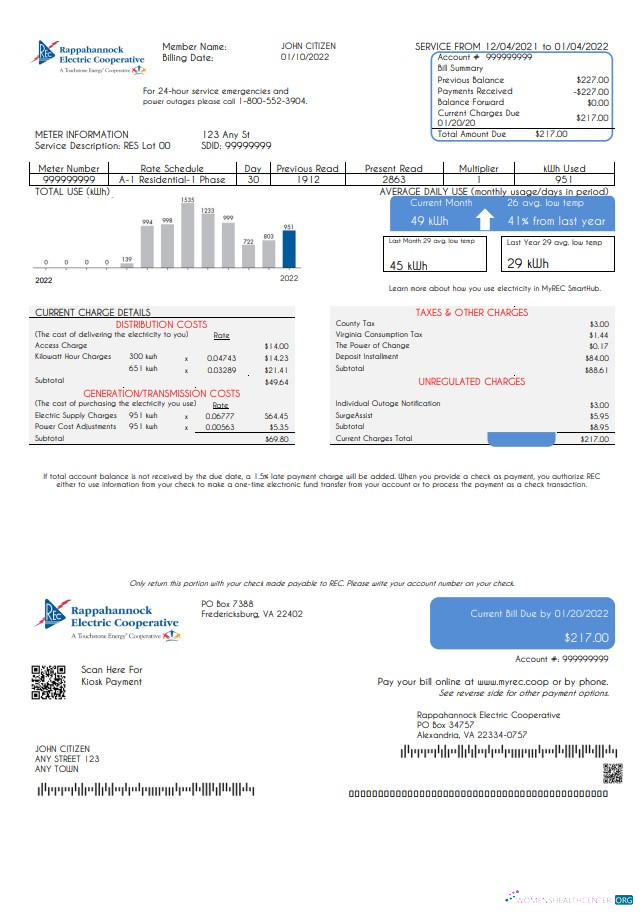 Realistische Herunterladen USA Rappahannock Electric Cooperative Nebenkostenabrechnung Vorlage in Word und PDF Format PDF Vorlage