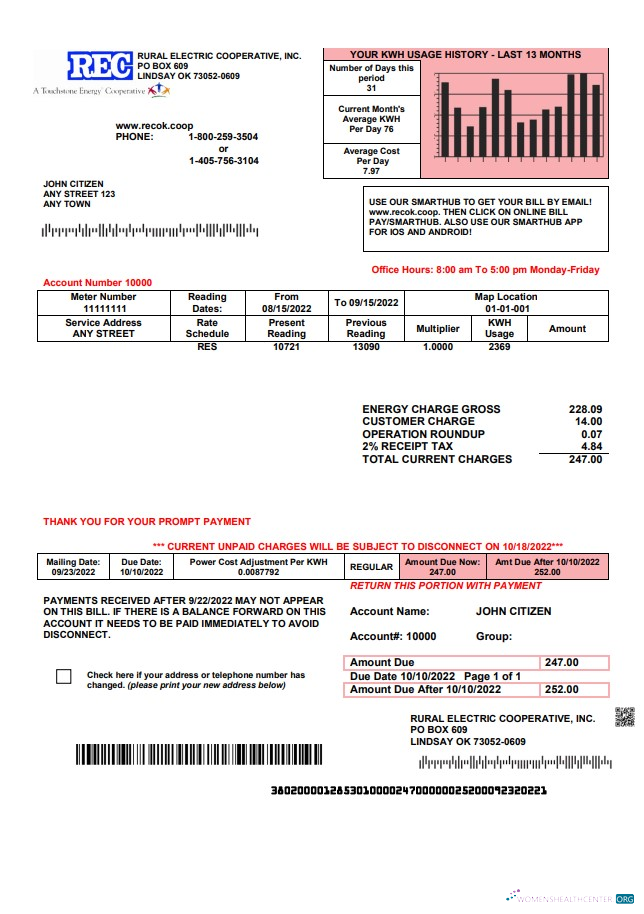 Professionelle Herunterladen USA Rural Electric Cooperative Nebenkostenabrechnung Vorlage in Word und PDF Format PDF Vorlage