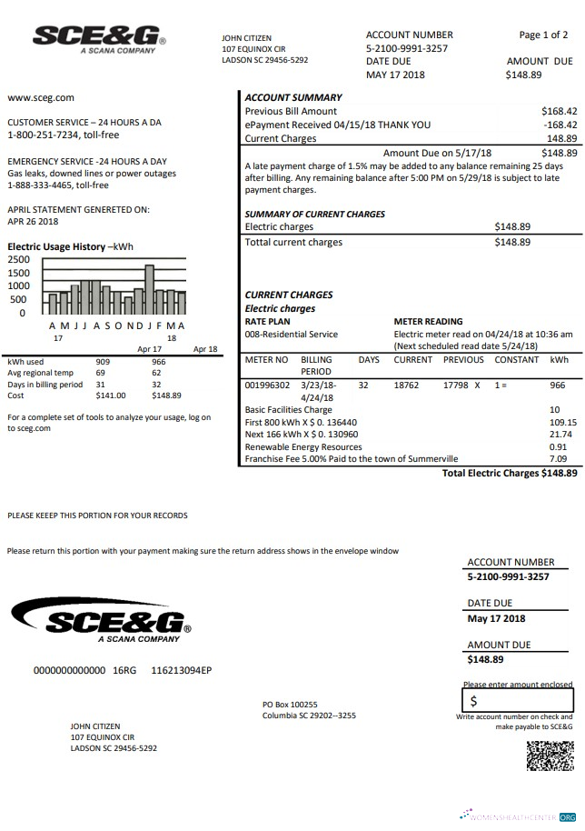 Premium Herunterladen USA Süd Carolina SCE&G Strom Nebenkostenabrechnung Vorlage in Word und PDF Format PDF Vorlage