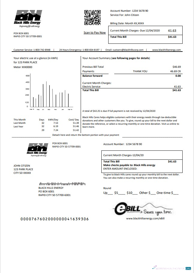 Premium Herunterladen USA Süd Dakota Black Hills Energy Nebenkostenabrechnung Vorlage in Word und PDF Format PDF Vorlage