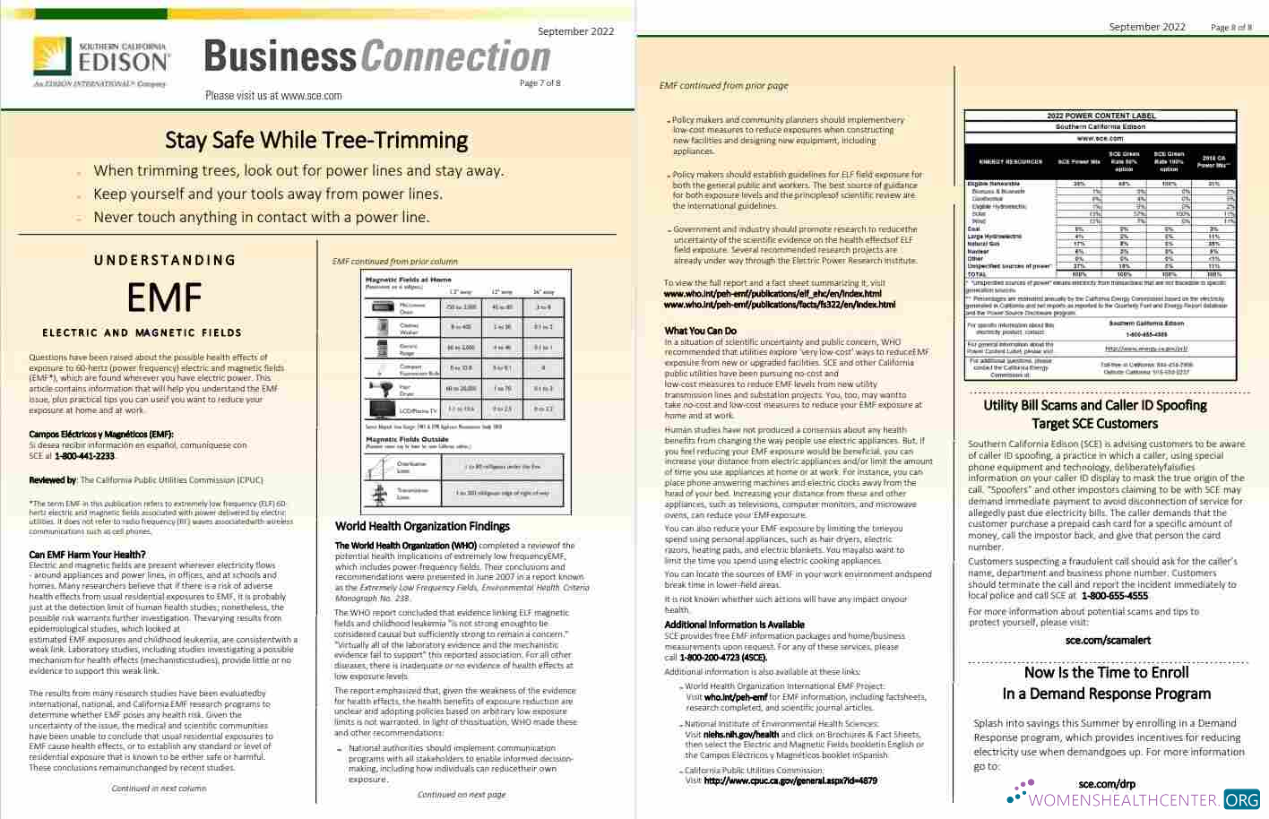 Realistische Herunterladen USA Southern California EDISON Nebenkostenabrechnung, Word und PDF Vorlage, 8 Seiten 7 8 PDF Vorlage