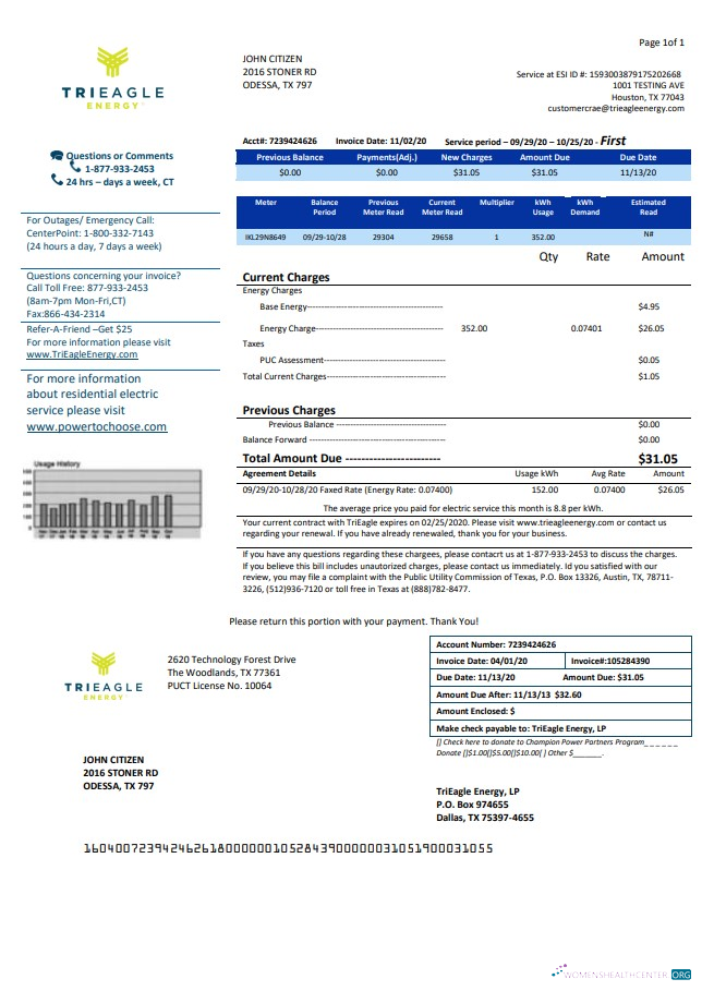Professionelle Herunterladen USA Texas TriEagle Nebenkostenabrechnung Vorlage in Word und PDF (.doc und .PDF) Format PDF Vorlage