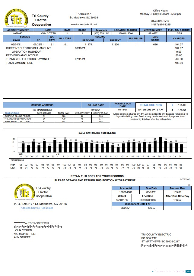 Hochwertige Herunterladen USA Tri County Electric Cooperative Nebenkostenabrechnung Vorlage in Word und PDF Format PDF Vorlage