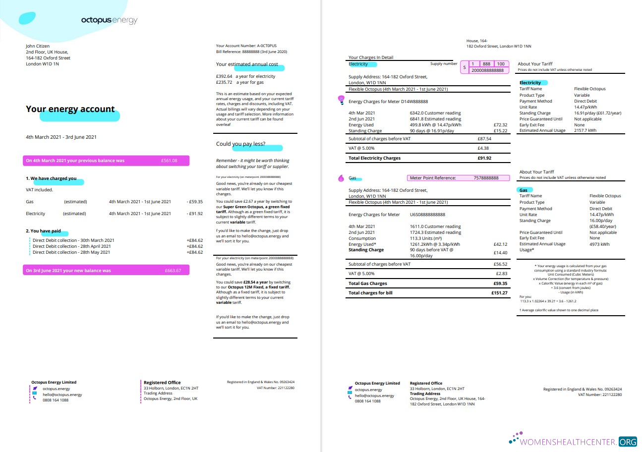Premium Herunterladen Vereinigtes Königreich Octopus Energy Nebenkostenabrechnung Vorlage in Word und PDF Format, 3 Seiten 1 2 PDF Vorlage