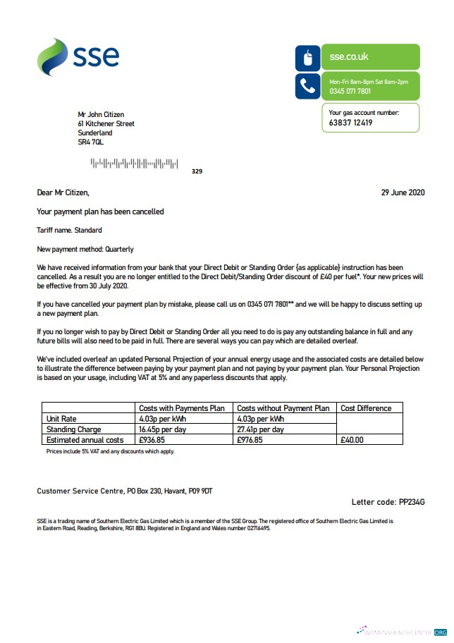 Realistische Herunterladen Vereinigtes Königreich SSE Energy Nebenkostenabrechnung Vorlage in Word und PDF Format, Version 1 PDF Vorlage