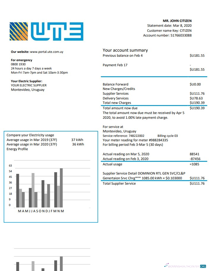 Hochwertige Herunterladen Uruguay UTE Unternehmen Strom Nebenkostenabrechnung Vorlage in Word und PDF Format PDF Vorlage
