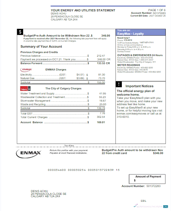 Professionelle Herunterladen Herunterladen Kanada ENMAX Nebenkostenabrechnung Word und PDF Vorlage PDF Vorlage PDF Vorlage