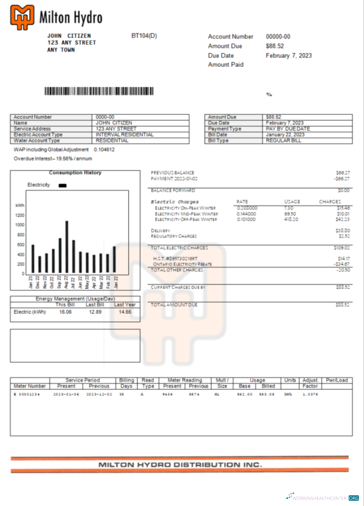 Professionelle Herunterladen Herunterladen Kanada Milton Hydro Strom Bill Word und PDF Vorlage PDF Vorlage PDF Vorlage