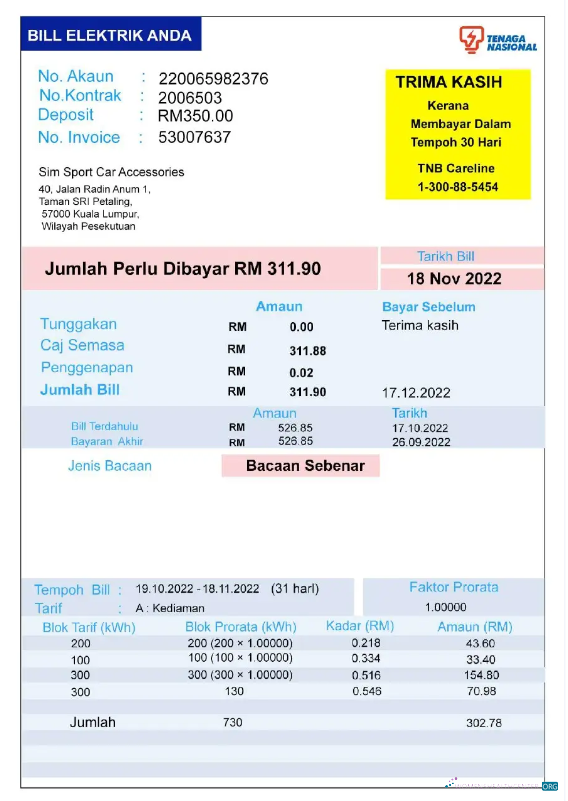 Premium Herunterladen Herunterladen Indien TENAGA NASIONAL Nebenkostenabrechnung Word und PDF Vorlage PDF Vorlage PDF Vorlage