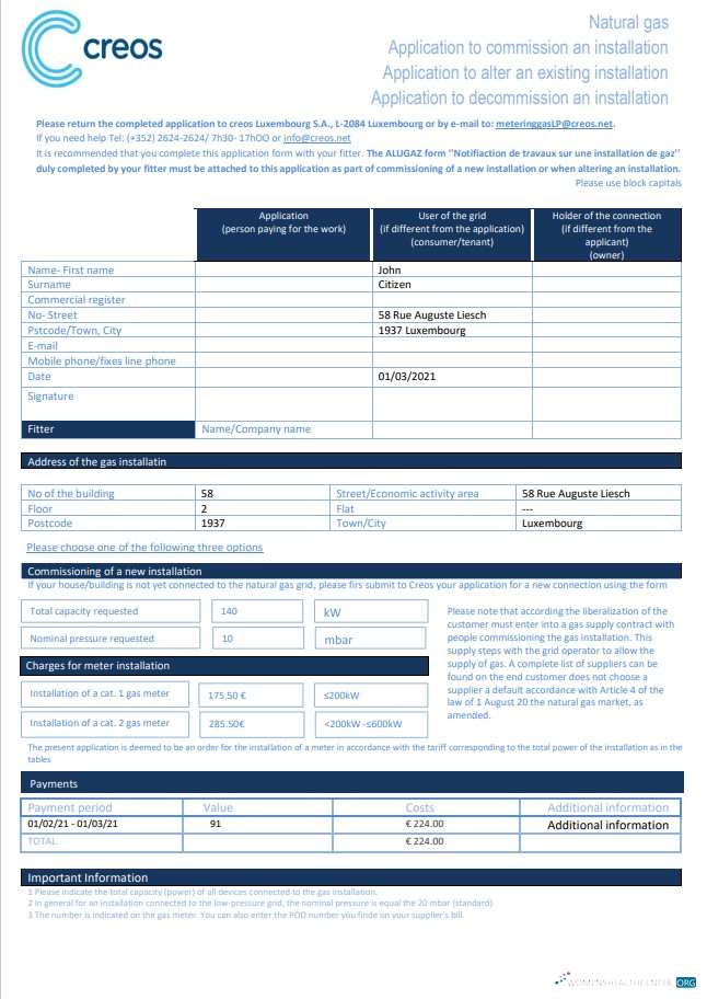 Premium Herunterladen Herunterladen Luxemburg Creos Gas Nebenkostenabrechnung Vorlage in Word und PDF Format PDF Vorlage PDF Vorlage