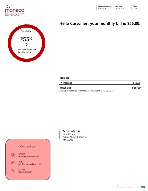 Herunterladen Herunterladen Monaco Telecom Internet Nebenkostenabrechnung, 3 Seiten design