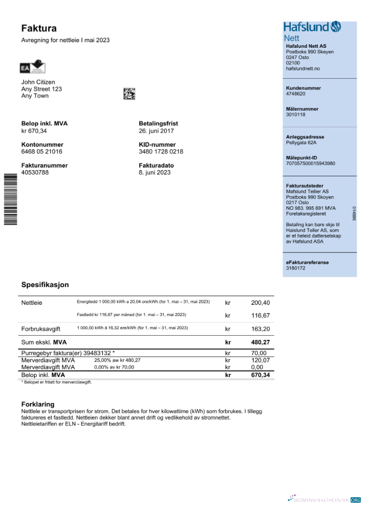 Editierbare Herunterladen Herunterladen Norwegen Hafslund Nebenkostenabrechnung Word und PDF Vorlage PDF Vorlage PDF Vorlage