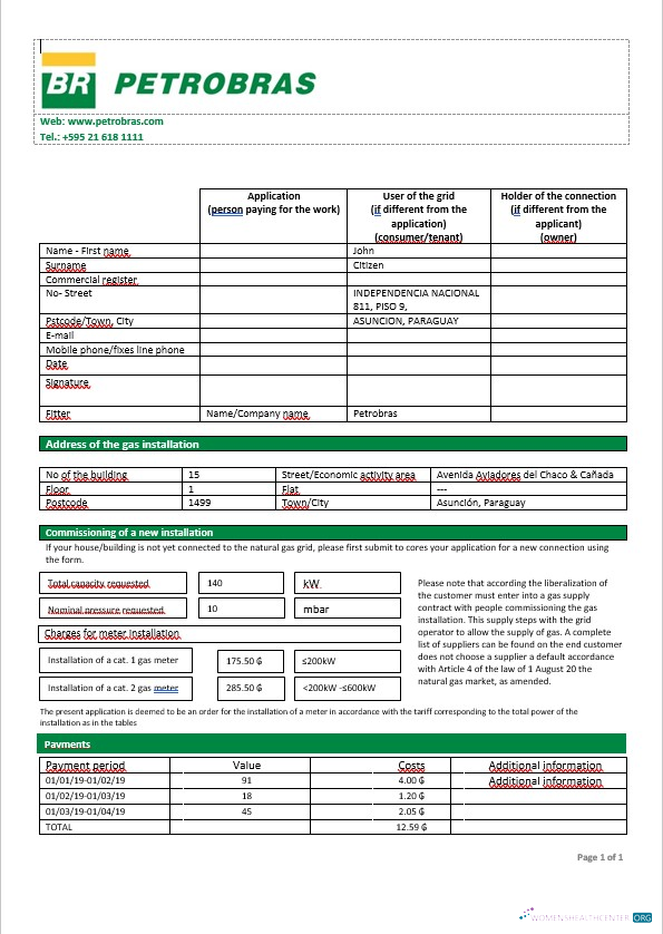 Herunterladen Herunterladen Paraguay Petrobras Paraguay Operations und Logistics Gas Unternehmen in Word Format design