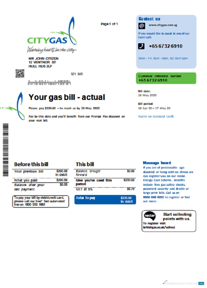 Professionelle Herunterladen Herunterladen Singapur Stadt Gas Nebenkostenabrechnung Vorlage in Word und PDF Format PDF Vorlage PDF Vorlage