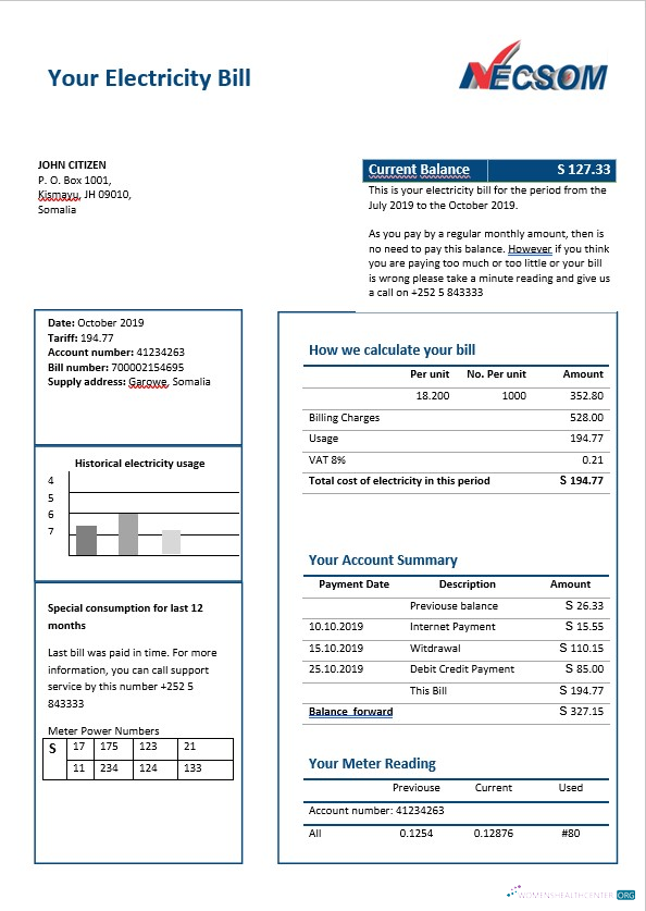 Herunterladen Herunterladen Somalia NESCOM Strom Bill in Word Format vorschau