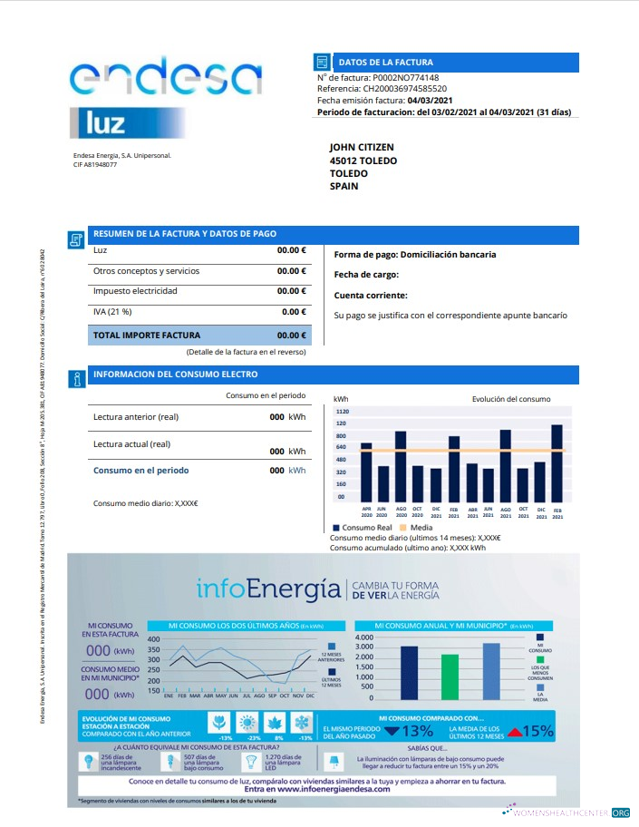 Hochwertige Herunterladen Herunterladen Spanien Endesa Luz Nebenkostenabrechnung Vorlage in Word und PDF Format PDF Vorlage PDF Vorlage