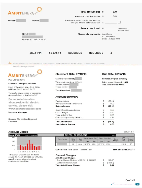 Professionelle Herunterladen Herunterladen USA AMBIT ENERGY Nebenkostenabrechnung Word und PDF Vorlage PDF Vorlage PDF Vorlage