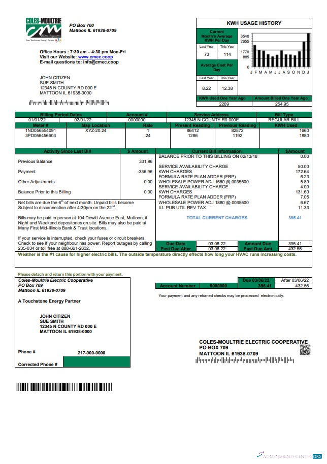 Realistische Herunterladen Herunterladen USA Coles – Moultrie Nebenkostenabrechnung Vorlage in Word und PDF Format PDF Vorlage PDF Vorlage