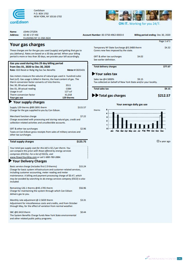 Premium Herunterladen Herunterladen USA Con Edison Gas Nebenkostenabrechnung Vorlage in Word und PDF Format PDF Vorlage PDF Vorlage