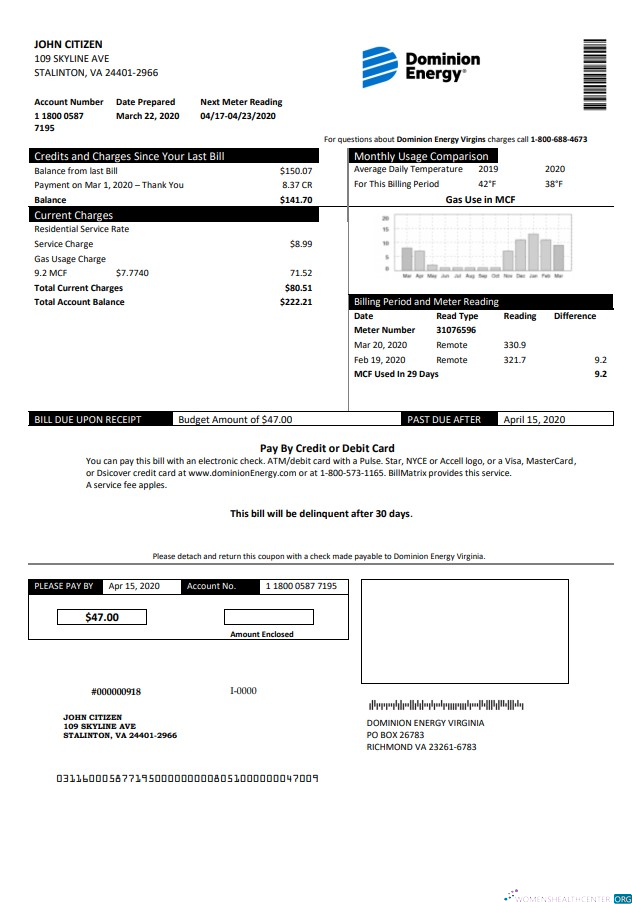 Hochwertige Herunterladen Herunterladen USA Dominion Energy Nebenkostenabrechnung Vorlage in Word und PDF Format PDF Vorlage PDF Vorlage