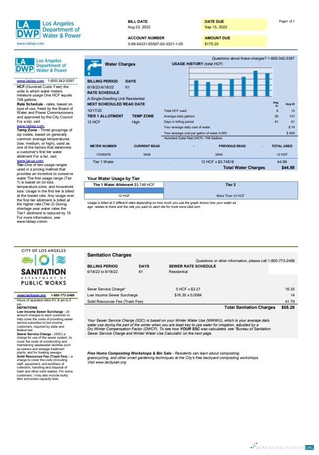 Professionelle Herunterladen Herunterladen USA LA DWP Nebenkostenabrechnung Vorlage in Word und PDF Format PDF Vorlage PDF Vorlage