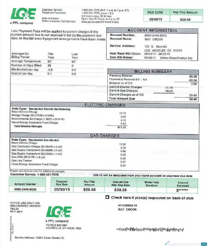 Realistische Herunterladen Herunterladen USA LG&E Nebenkostenabrechnung Word und PDF Vorlage PDF Vorlage PDF Vorlage