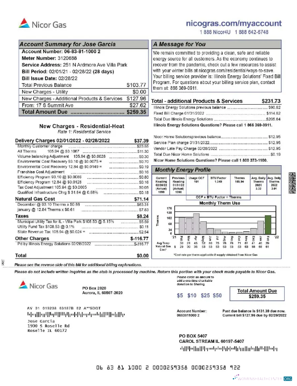 Premium Herunterladen Herunterladen USA NICOR Gas Nebenkostenabrechnung Word und PDF Vorlage PDF Vorlage PDF Vorlage