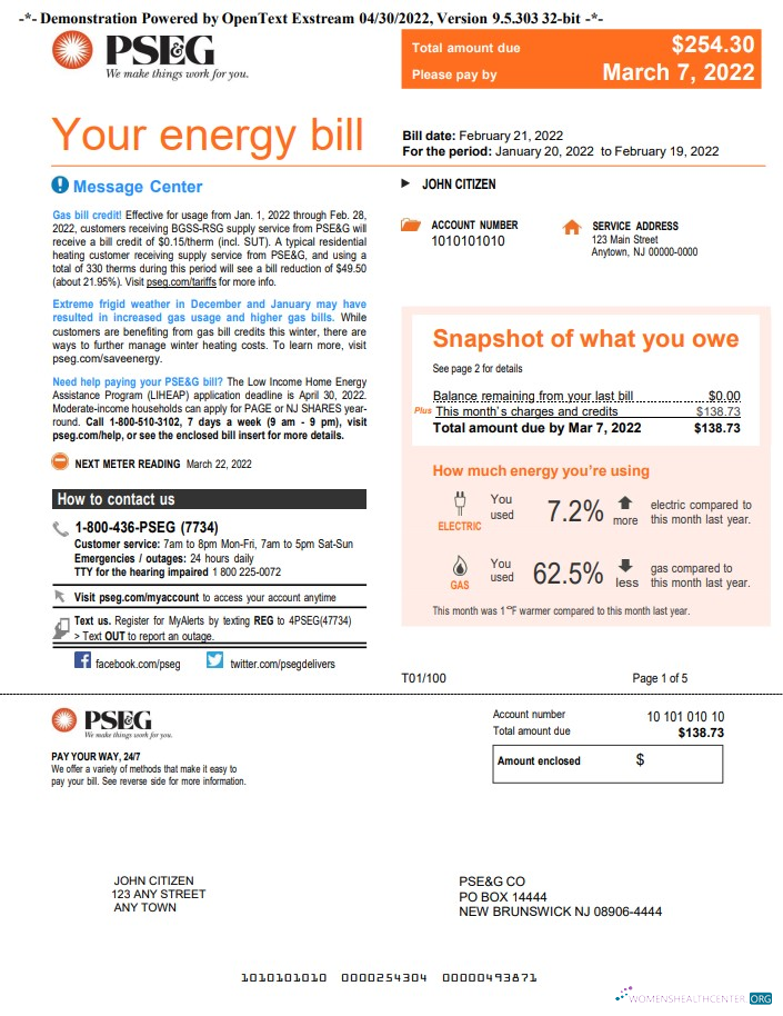 Professionelle Herunterladen Herunterladen USA Neu York PSEG Nebenkostenabrechnung, Word und PDF Vorlage, 5 Seiten 1 PDF Vorlage PDF Vorlage