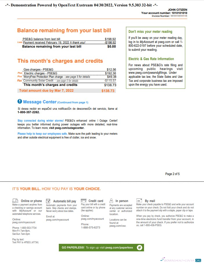 Professionelle Herunterladen Herunterladen USA Neu York PSEG Nebenkostenabrechnung, Word und PDF Vorlage, 5 Seiten 2 PDF Vorlage PDF Vorlage