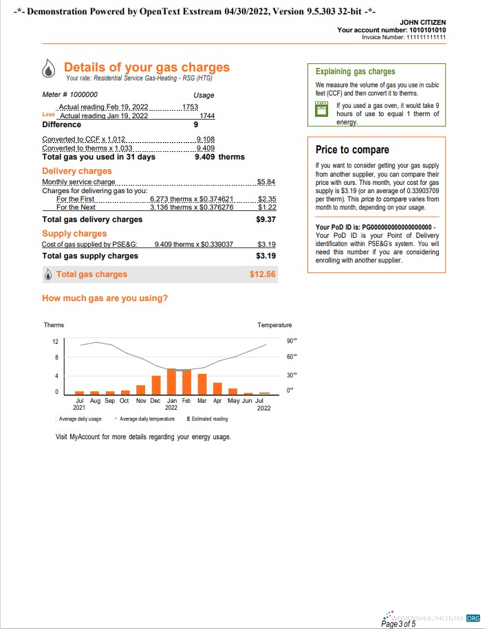 Realistische Herunterladen Herunterladen USA Neu York PSEG Nebenkostenabrechnung, Word und PDF Vorlage, 5 Seiten 3 PDF Vorlage PDF Vorlage