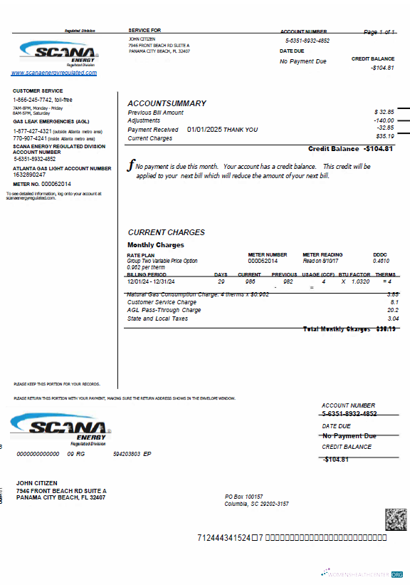 Hochwertige Herunterladen Herunterladen USA SCANA Energy Nebenkostenabrechnung Vorlage in Word und PDF Formats PDF Vorlage PDF Vorlage