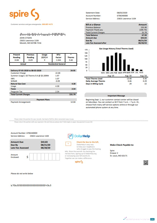Professionelle Herunterladen Herunterladen USA Spire Gas Nebenkostenabrechnung Vorlage in Word und PDF Format PDF Vorlage PDF Vorlage