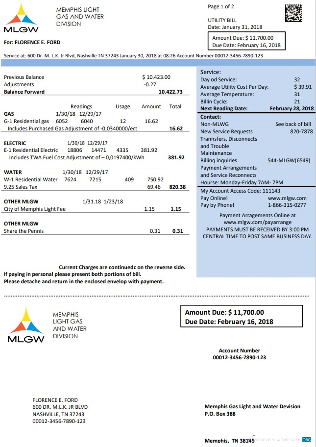 Editierbare Herunterladen Herunterladen USA Tennessee MLGW Nebenkostenabrechnung Vorlage in Word und PDF Format PDF Vorlage PDF Vorlage
