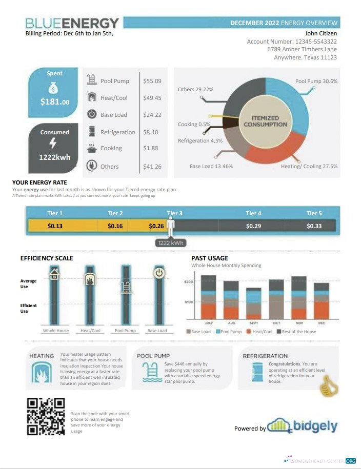 Hochwertige Herunterladen Herunterladen USA Texas Blau Energy Nebenkostenabrechnung, Word und PDF Vorlage PDF Vorlage PDF Vorlage