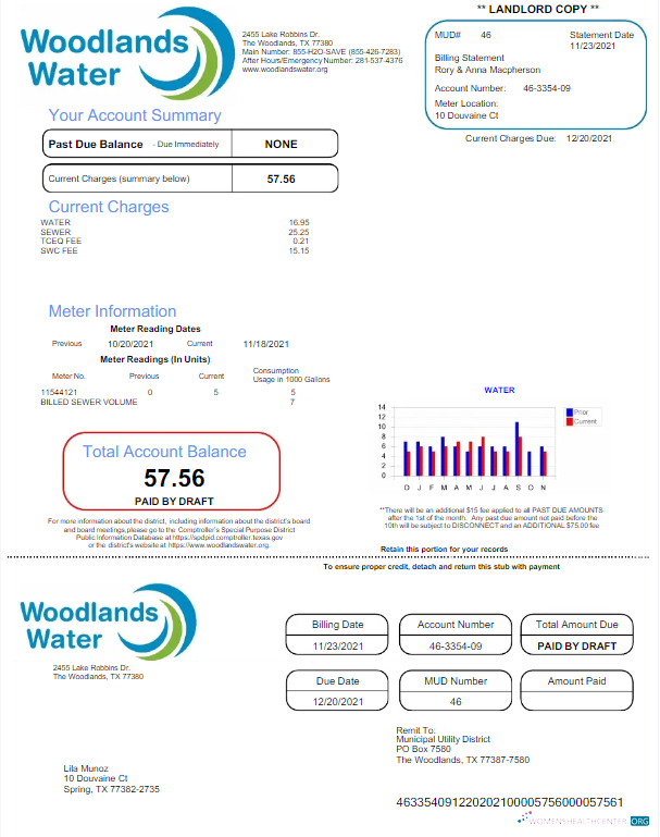 Editierbare Herunterladen Herunterladen USA WOODLANDS Wasser Nebenkostenabrechnung Word und PDF Vorlage PDF Vorlage PDF Vorlage