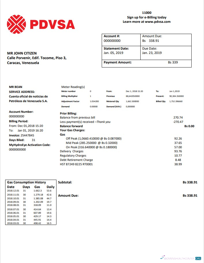 Premium Herunterladen Herunterladen Venezuela PDVSA Gas Nebenkostenabrechnung Vorlage in Word und PDF Format PDF Vorlage PDF Vorlage