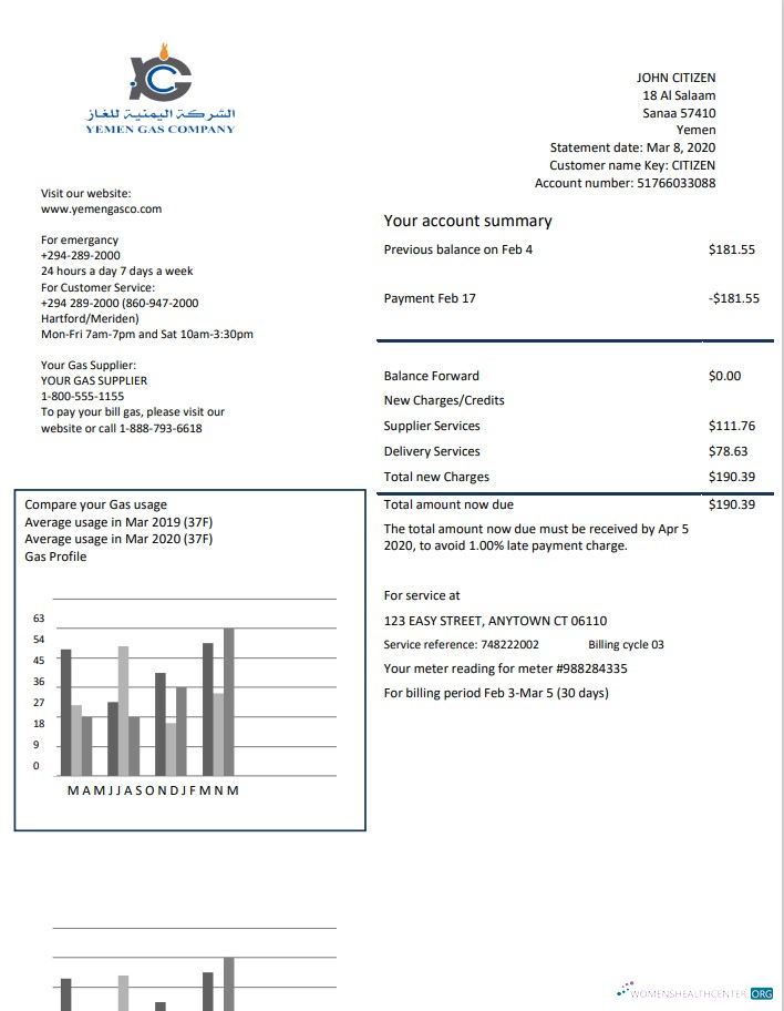 Hochwertige Herunterladen Herunterladen Jemen Gas Unternehmen Nebenkostenabrechnung Vorlage in Word und PDF Format PDF Vorlage PDF Vorlage